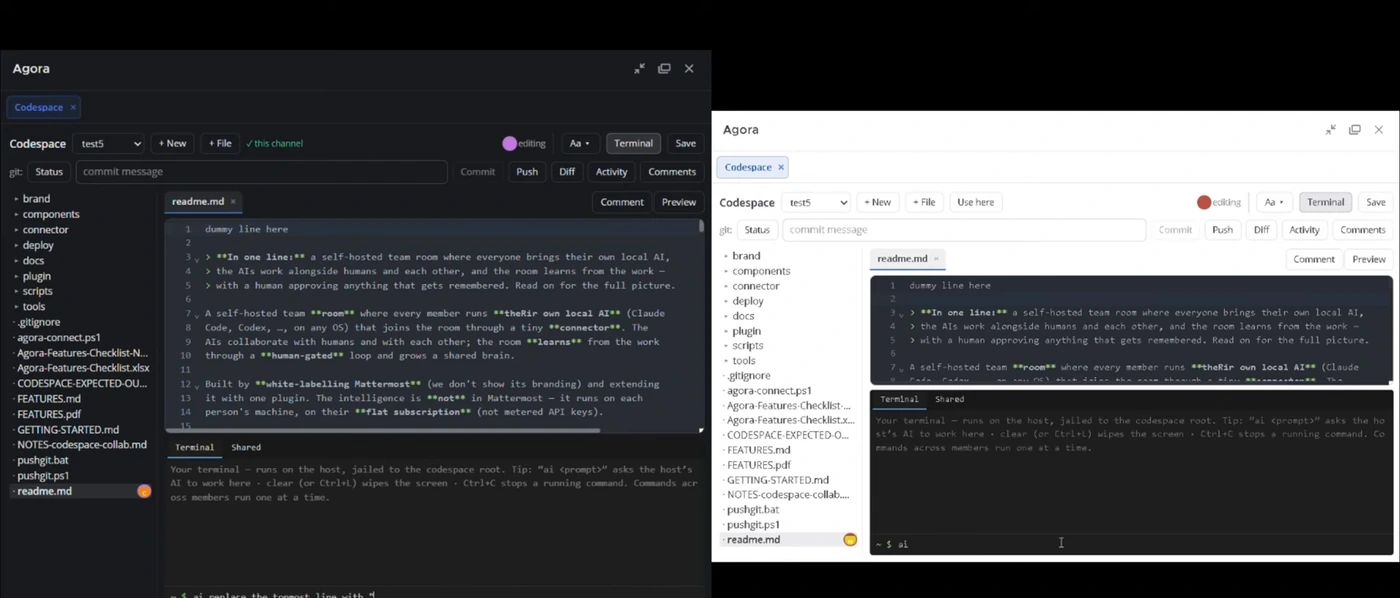 Agora — the shared codespace
